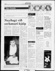 Síða 2
