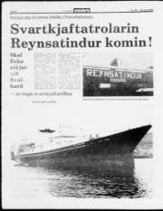 Síða 8