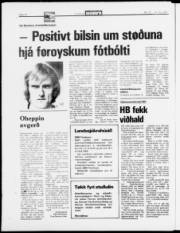 Síða 12