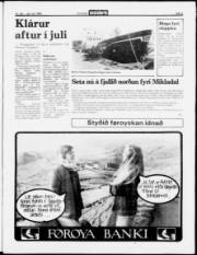 Síða 3