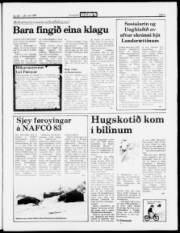 Síða 5