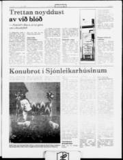 Síða 3