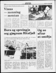 Síða 4