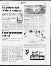 Síða 9