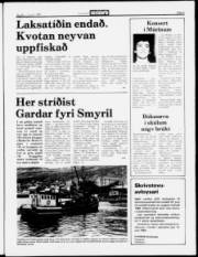 Síða 5