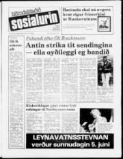 Síða 1
