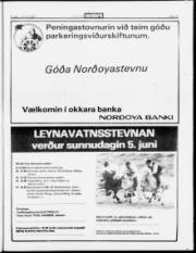 Síða 15