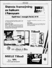 Síða 17