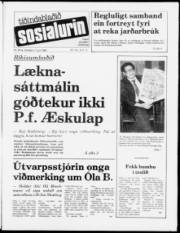 Síða 1