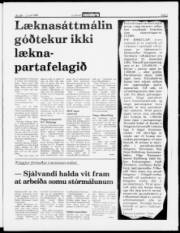 Síða 3