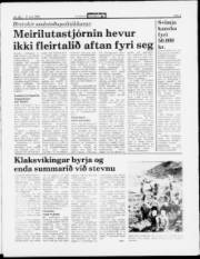 Síða 3