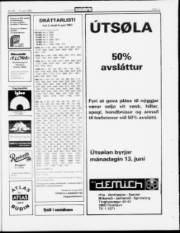 Síða 17