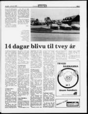 Síða 3