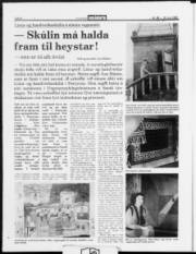 Síða 8