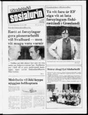 Síða 1