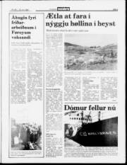 Síða 3