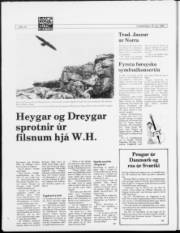 Síða 14