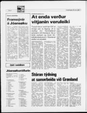 Síða 8