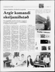 Síða 9