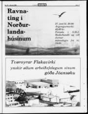 Síða 17