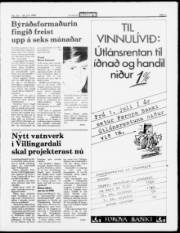 Síða 3