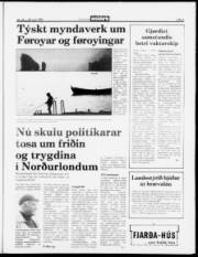 Síða 5