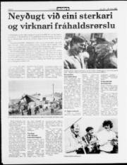 Síða 8