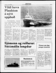 Síða 5