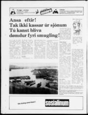 Síða 20
