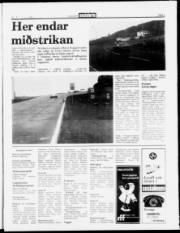 Síða 5