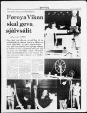 Síða 12
