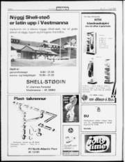 Síða 2