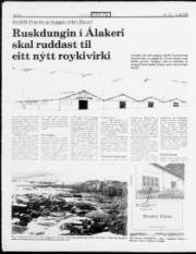 Síða 8