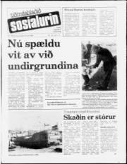Síða 1