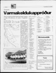 Síða 8