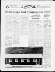 Síða 20