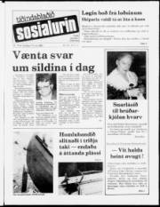 Síða 1