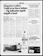 Síða 3
