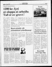 Síða 3
