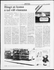 Síða 8