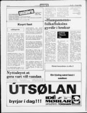 Síða 6