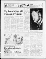 Síða 12