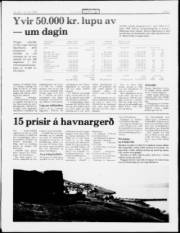 Síða 3