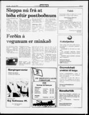 Síða 3