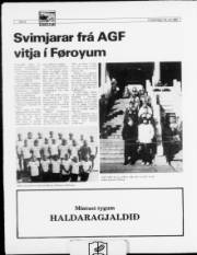 Síða 8