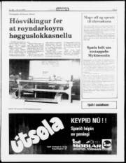 Síða 3