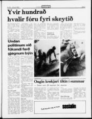 Síða 5
