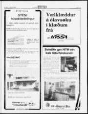 Síða 15
