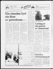 Síða 20