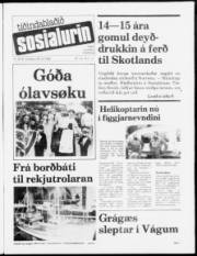 Síða 1